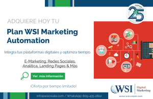 Plan WSI Marketing Automation